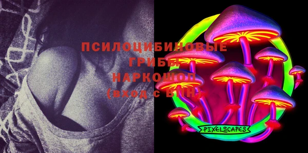 твердый Алексеевка