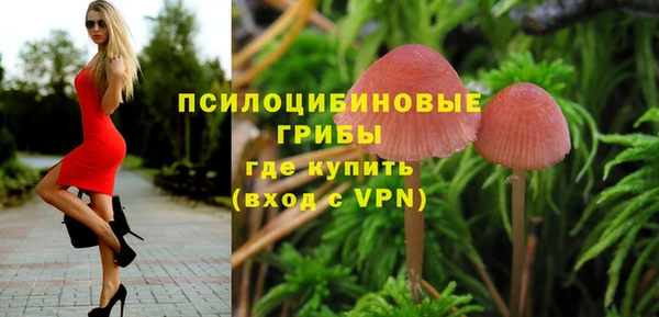 мдпв Рославль
