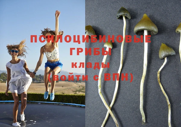 каннабис Алексин