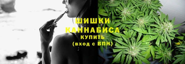 мдпв Рославль