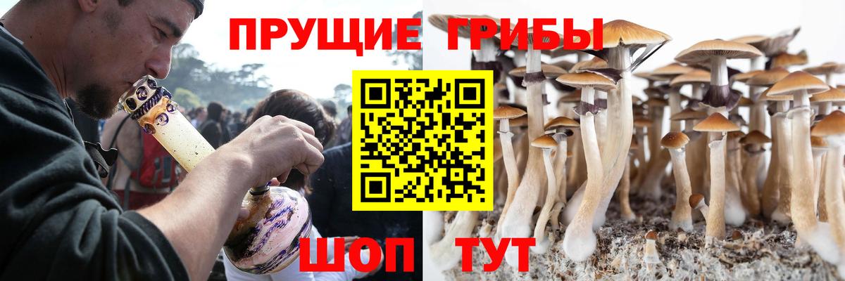 наркотики  Вход с VPN  Кинель  Галлюциногенные грибы прущие грибы 