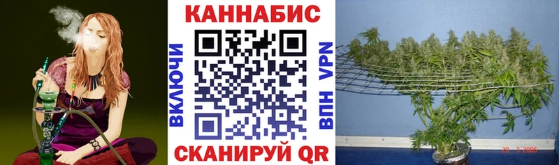 даркнет сайт Кинель KRAKEN сайт Марихуана Amnesia